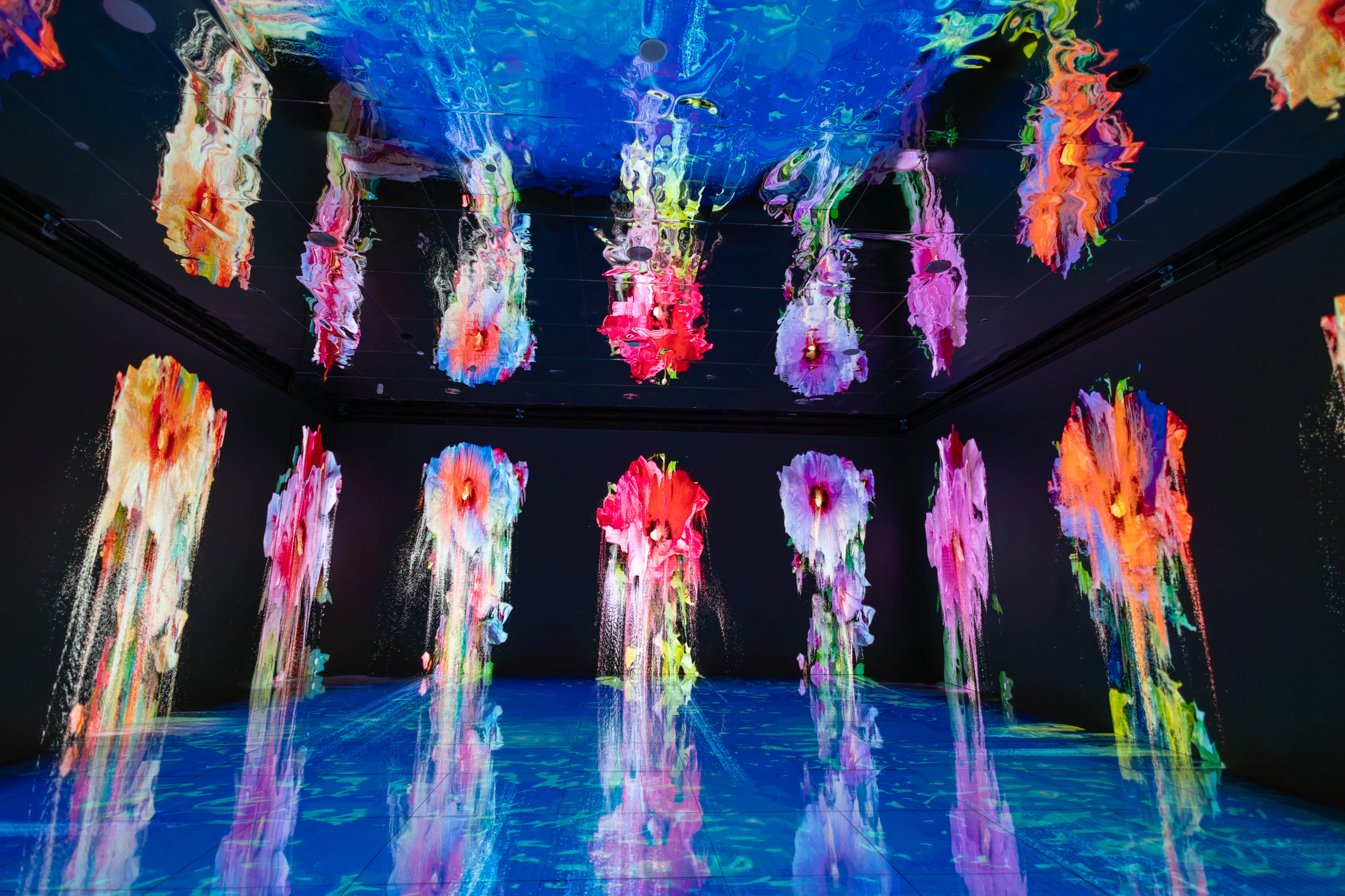 CUBE Istanbul — Floral immersive environment · CCN Holding / The Cube