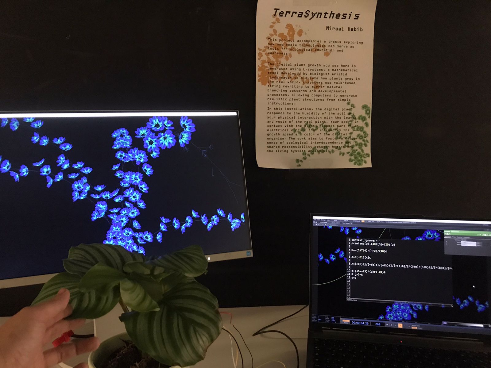 TerraSynthesis — living plant and interactive installation